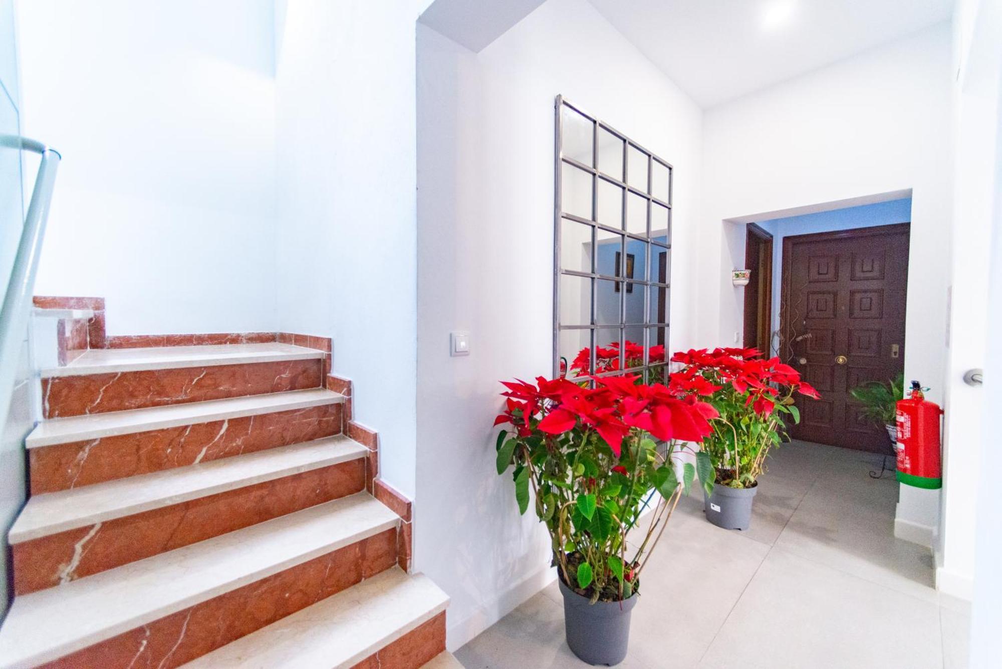 Casa San Mateo Apartment Cordoba Exterior photo
